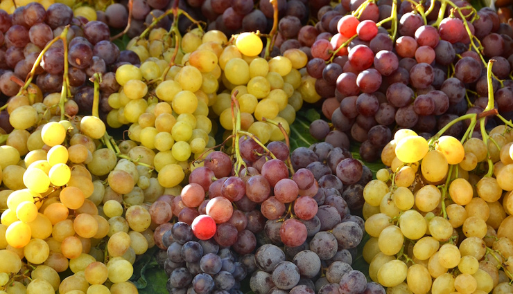 grapes,health benefits of grapes,Health tips,fitness tips