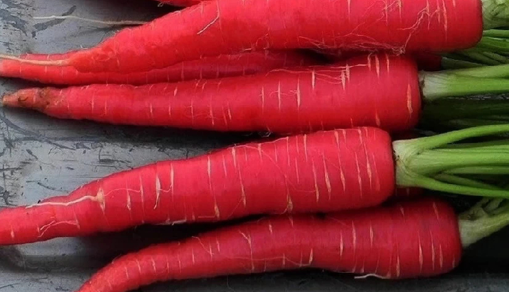 gajar ki barfi winter recipe,winter special gajar ki barfi,gajar ki barfi recipe for winters,how to make gajar ki barfi,winter season gajar ki barfi,gajar ki barfi homemade recipe,authentic gajar ki barfi recipe,gajar ki barfi winter delicacy,easy gajar ki barfi preparation,winter dessert gajar ki barfi