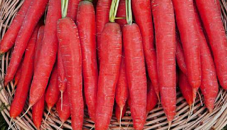 winter health benefits of gajar ka soup,gajar ka soup nutrition,gajar ka soup recipe,healthy winter soup recipes,carrot soup health benefits,homemade gajar ka soup,nutrient-rich winter soup,easy gajar ka soup preparation,winter wellness with gajar ka soup,gajar ka soup for immune health,gajar ka soup ingredients,warm winter soup ideas,healthy winter comfort food,gajar ka soup for cold weather,winter vegetable soup recipe