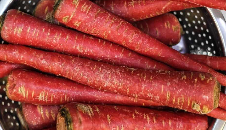 गाजर का केक देख बच्चे हो जाएंगे खुश, होता है इतना लजीज कि फिर नहीं चाहिए कोई और मीठी चीज #Recipe gajar ka cake,gajar ka cake children,gajar ka cake sweet dish,gajar ka cake winter,gajar ka cake home,gajar ka cake recipe,gajar ka cake ingredients,carrot cake,carrot,gajar ka cake tasty,gajar ka cake healthy