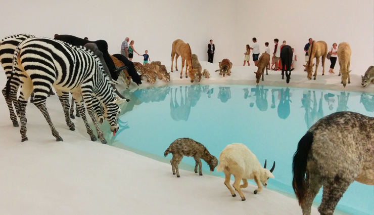 australia,amazing museums to visit in australia,museums in australia,travel,australia travel,travel guide