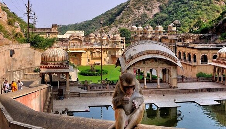 animals are worshiped in these 6 temples of india,holidays,travel,tourism