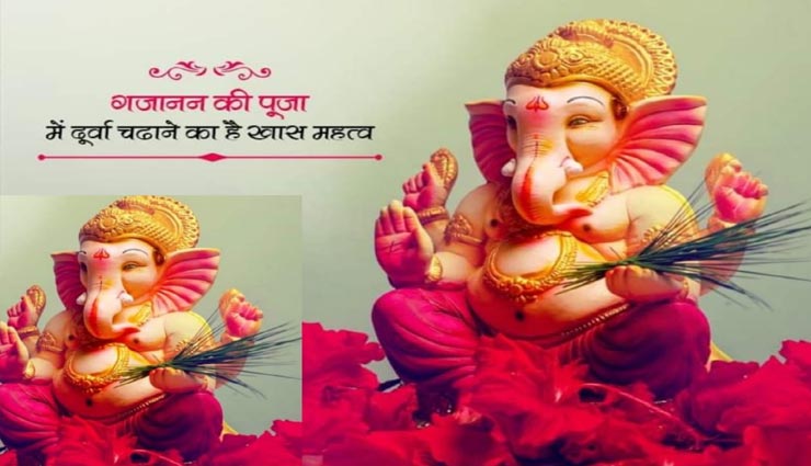 बिना दूर्वा के गणपति जी की पूजा है अधूरी, जानें इसका महत्व 