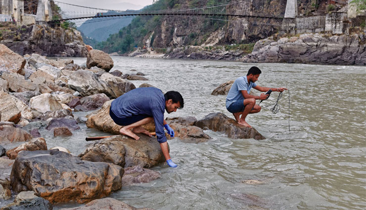 गंगा नदी की कोरोना रिपोर्ट आई निगेटिव, जानें क्या है पूरा मामला