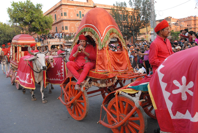 gangaur mata shobhayatra,jaipur,news