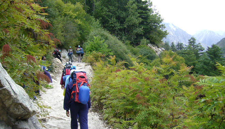gangotri,gangotri trek,trekking in gangotri,holidays,travel,tourism