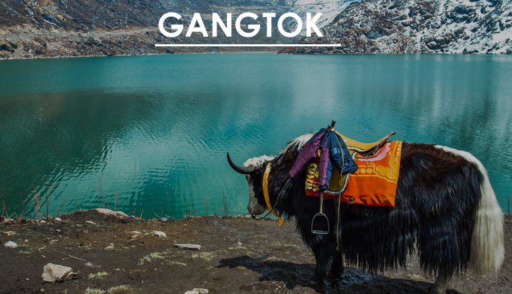 family vacation in india,breathtaking beautiful places,vacation in india,guwahati,gangtok,visakhapatnam,munnar,andaman,srinagar,kumarakom,alleppey,travel,holidays,travel guide,travel tips