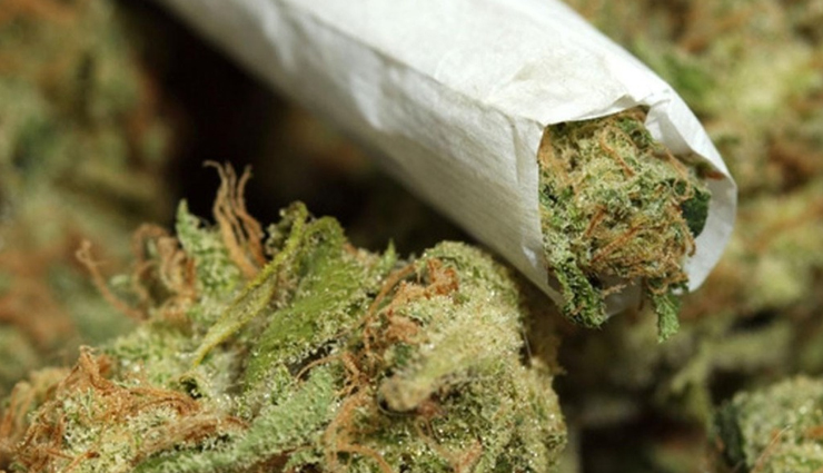 Alcohol,7 drugs that will cost you your life,harmful drugs,drugs that would make you die,very harmful drugs,drugs that are harmful,heroine,cocaine,ganja,lsd,tobacco