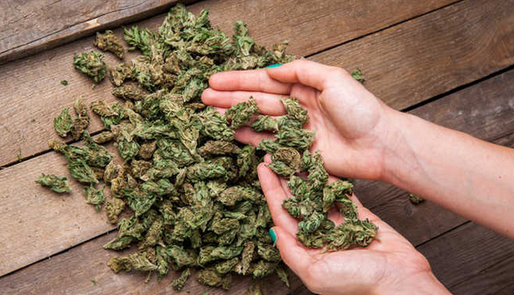 epileptic attack,epileptic attack home remedies,home remedies to treat epileptic attack,health news,healthy living