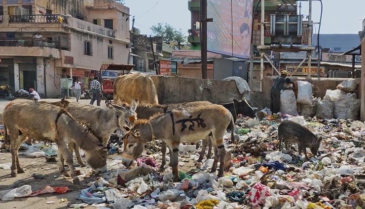 राजधानी जयपुर में लगने लगे कचरे के ढेर, कर्मचारियों के 3 माह का वेतन बकाया, हुई हड़ताल