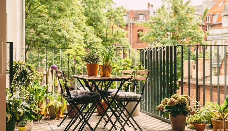 इस तरह लगाए घर में पौधे, बढ़ेगी पॉजिटिव एनर्जी