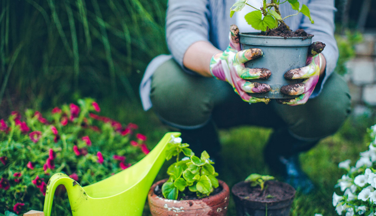 10 hobbies you can choose to stay in shape,hobbies to stay fit,tips to stay fit,heath tips to stay fit,Health tips,healthy living