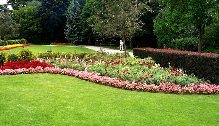 tips to keep your garden healthy in winters,gardening in winter,house hold tips,gardening