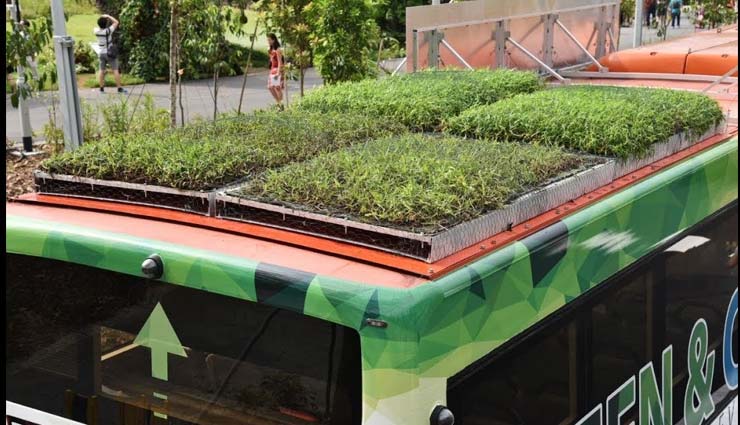 सिंगापुर में छत पर गार्डन वाली बसें शुरू, अंदर का तापमान हो जाता है 5 डिग्री तक कम moving garden,singapore,green roof,weird story