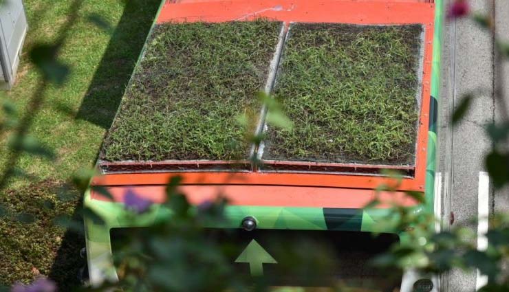 सिंगापुर में छत पर गार्डन वाली बसें शुरू, अंदर का तापमान हो जाता है 5 डिग्री तक कम moving garden,singapore,green roof,weird story