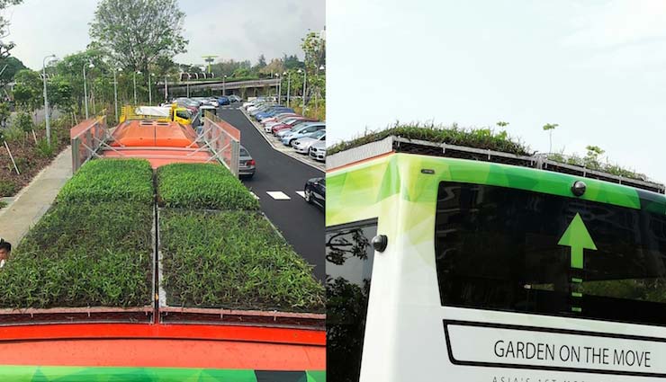 moving garden,singapore,green roof,weird story ,सिंगापुर,छत पर गार्डन वाली बसें