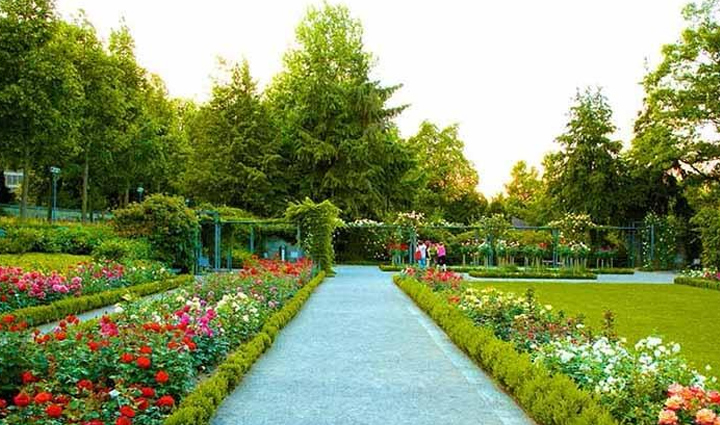 peaceful garden walks,adventure and peace in gardens,best gardens for peaceful walks,enjoy adventure and peace in gardens,top gardens for walking in the country,garden walks for adventure lovers,serene garden adventures,peaceful walking trails in gardens,gardens for tranquil walks,explore gardens for peaceful adventures,best country gardens for walks,peaceful garden exploration,adventure walks in serene gardens,tranquil garden walking paths,gardens for relaxing adventures,walk in peaceful country gardens,enjoy peace in garden walks,adventure and tranquility in gardens,top garden destinations for walks,peaceful adventures in country gardens