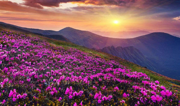 peaceful garden walks,adventure and peace in gardens,best gardens for peaceful walks,enjoy adventure and peace in gardens,top gardens for walking in the country,garden walks for adventure lovers,serene garden adventures,peaceful walking trails in gardens,gardens for tranquil walks,explore gardens for peaceful adventures,best country gardens for walks,peaceful garden exploration,adventure walks in serene gardens,tranquil garden walking paths,gardens for relaxing adventures,walk in peaceful country gardens,enjoy peace in garden walks,adventure and tranquility in gardens,top garden destinations for walks,peaceful adventures in country gardens