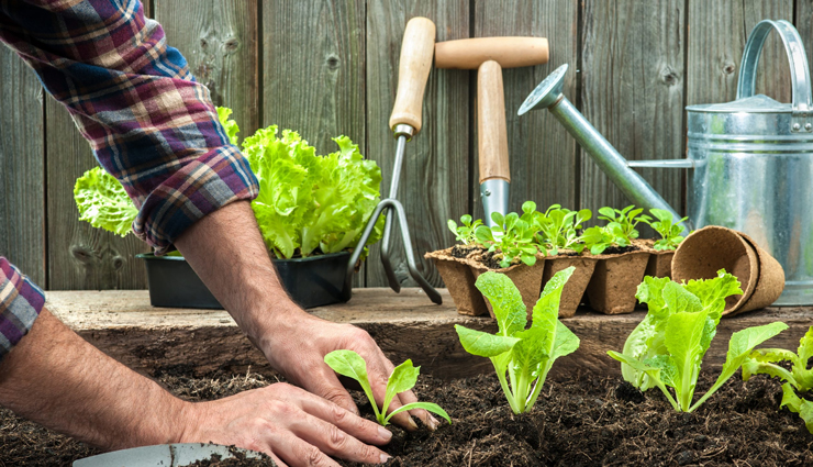 basic gardening tools,gardening tools,gardener must have these tools,home decor tips,household tips