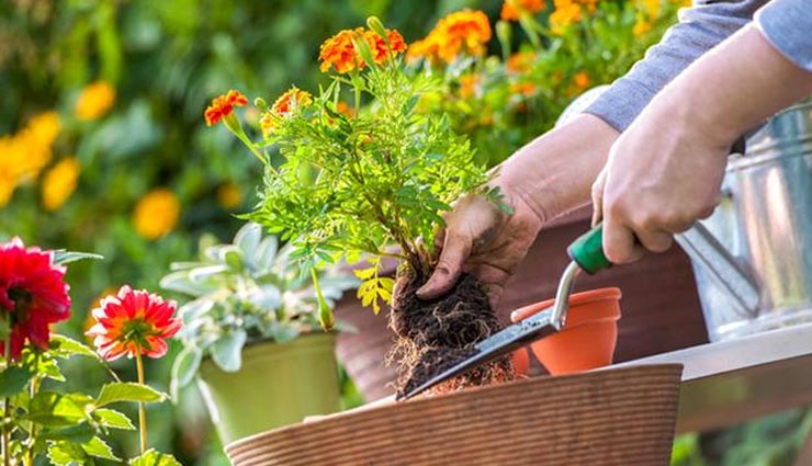 healthy benefits of gardening,health tips in hindi,gardening benefits,health benefits in hindi,benefits of gardening in hindi