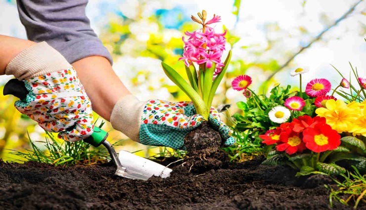 healthy benefits of gardening,healthy habit,gardening benefits,stress releaving tips,happiness tips,gardening improve memory,Health,Health tips ,तेज दिमाग,स्ट्रेस,डिप्रेशन,गार्डनिंग यानी बागवानी
