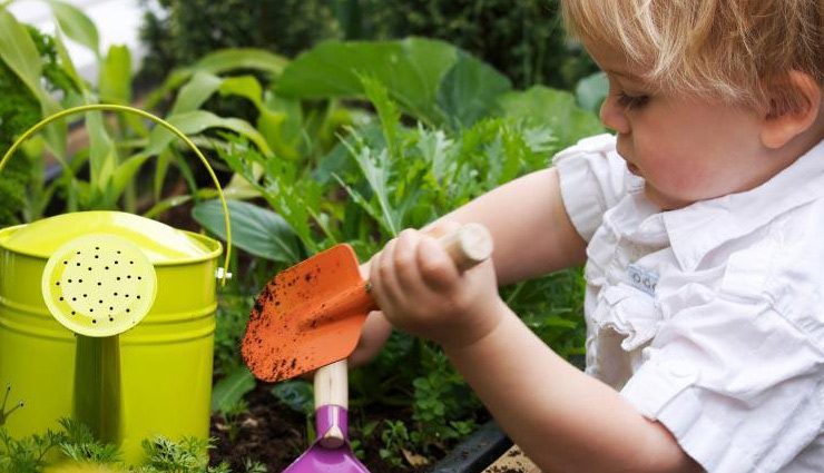 gardening tips for winters,winter tips,tips for garden,garden care,house garden care,household tips