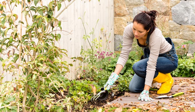 healthy benefits of gardening,healthy habit,gardening benefits,stress releaving tips,happiness tips,gardening improve memory,Health,Health tips