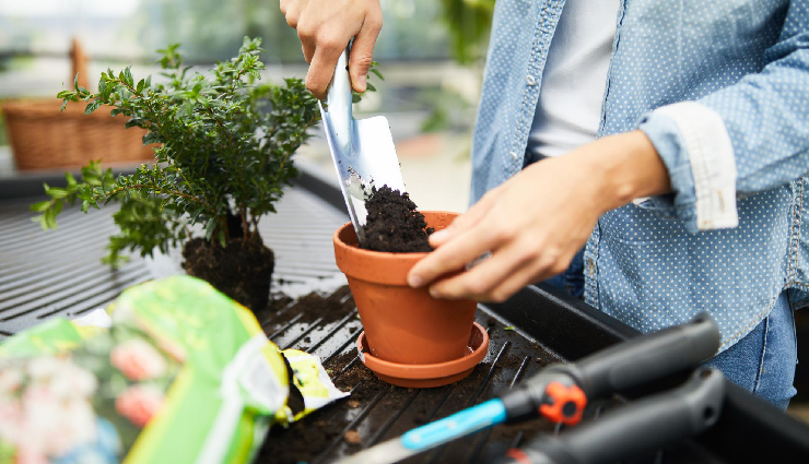 gardening supplies australia,australian gardening essentials,seed starting kits australia,quality soil for australian gardens,organic fertilisers australia,irrigation systems for australian climate,watering cans and timers australia,essential gardening tools australia,pest control in australian gardens,shade cloth and greenhouses australia