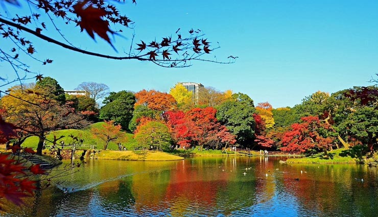 botanical gardens,beautiful botanical gardens,botanical gardens in the world