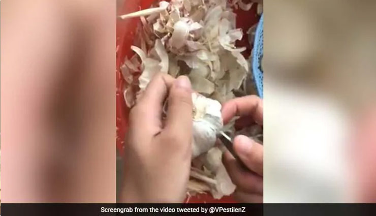 लहसुन छीलने का ये अनोखा तरीका देख दीवाने हुए लोग,  1 अरब से ज्यादा मिले व्यूज