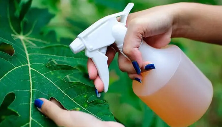 tips to get rid of bees,household tips,home decor tips