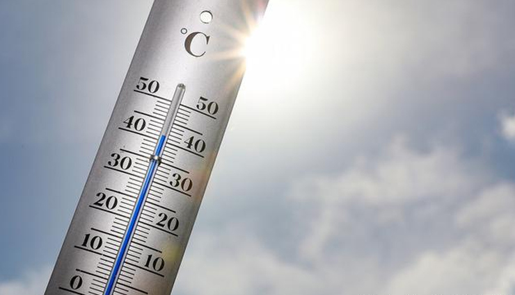 रोजाना एक मुट्ठी मखाना खाने से मिलते हैं ये 14 जबरदस्त फायदे makhana,makhane ke fayde,benefits of fox nut,makhana for health,makhana for men,what happens by eating makhana,Health,Health tips