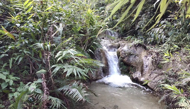 rishikesh,rishikesh tourist destinations,tourist destinations near rishikesh,travel,holidays,travel guide