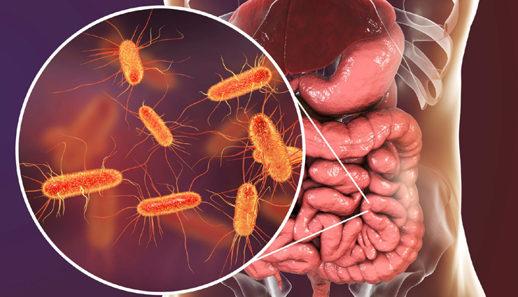 shrimp health benefits,nutritional value of shrimp,shrimp recipes and cooking ideas,shrimp side effects,shrimp nutrition facts,shrimp-derived recipes,shrimp in healthy diet,fresh shrimp dishes,easy shrimp cooking tips,shrimp allergies and precautions