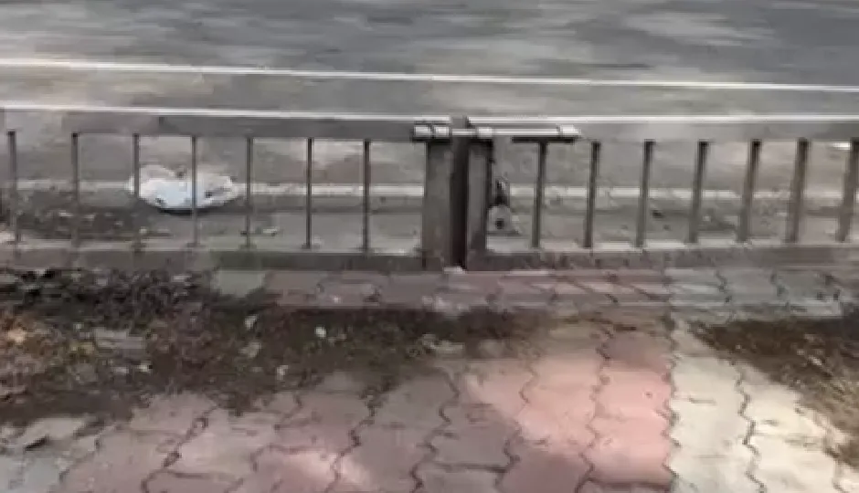 छोटे से गेट का बड़ा कमाल! वीडियो वायरल होते ही सोशल मीडिया पर लोगों की मजेदार प्रतिक्रियाएं