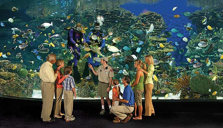 gatlinburg,things to do in gatlinburg