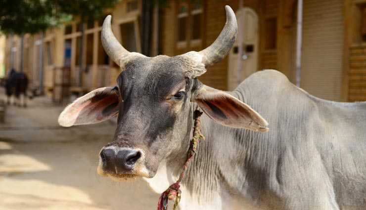 astrology tips,astrology tips in hindi,auspicious things,auspicious journey