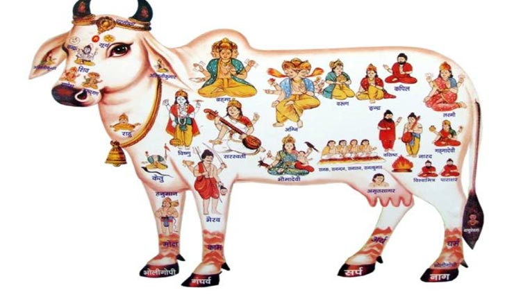 गोपाष्टमी पर जानें गौ माता से जुड़े ये उपाय, दूर होंगी जीवन की कई परेशानियां 