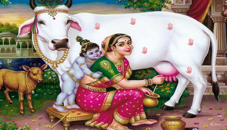 astrology tips,astrology tips in hindi,gopashtami,gopashtami 2019,measures related to gau mata,troubles overcome