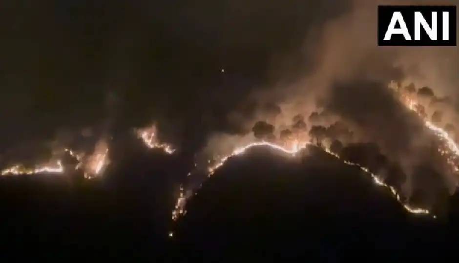 हिमाचल और उत्तराखंड के जंगलों में आग, सोलन में उठते धुएं के गुबार और लपटों ने बढ़ाई चिंता, VIDEO वायरल