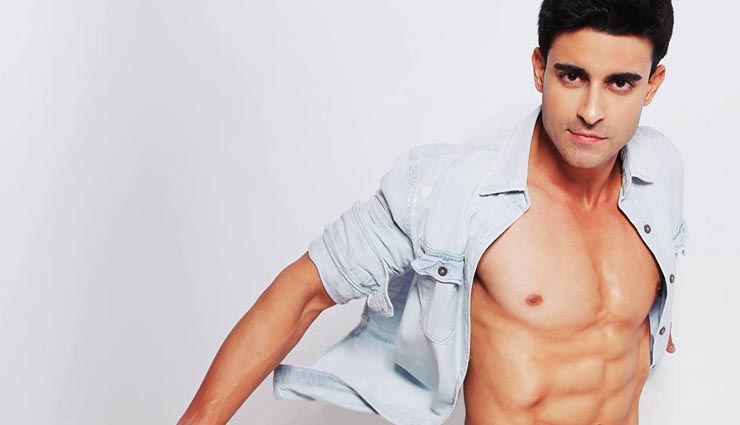 indian daily soaps,dudes of daily soaps,television stars,television hot stars,gautam rode,siddarth shukla,karan wahi,mohit raina,vin rana