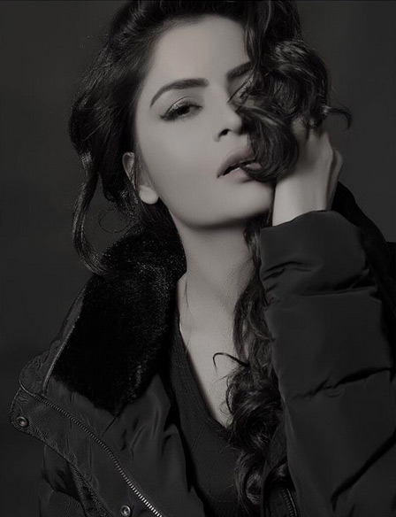 bigg boss 11,Salman Khan,gehana vasisth,wild card contestant,bigg boss news