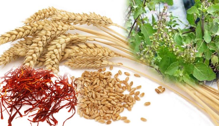 गेहूं पिसवाते समय करें ये 3 उपाय, कभी नहीं आएगी अन्न की कमी