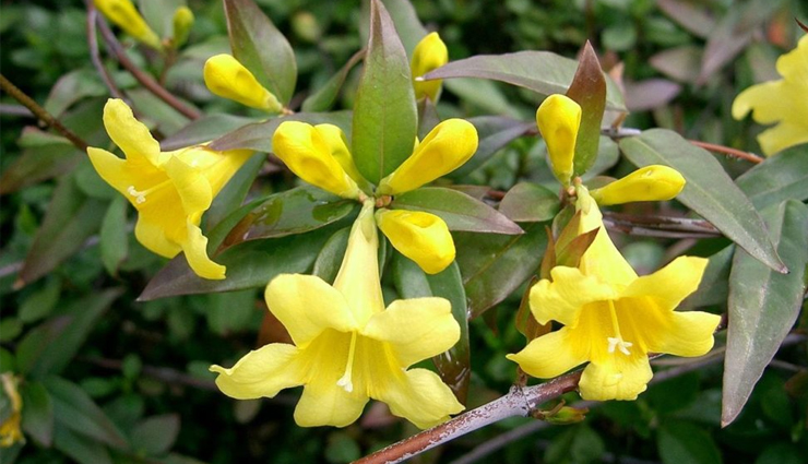 dizziness,dizziness treatment,tips to treat dizziness,tips to get rid of dizziness,dizziness problem,Health,Health tips