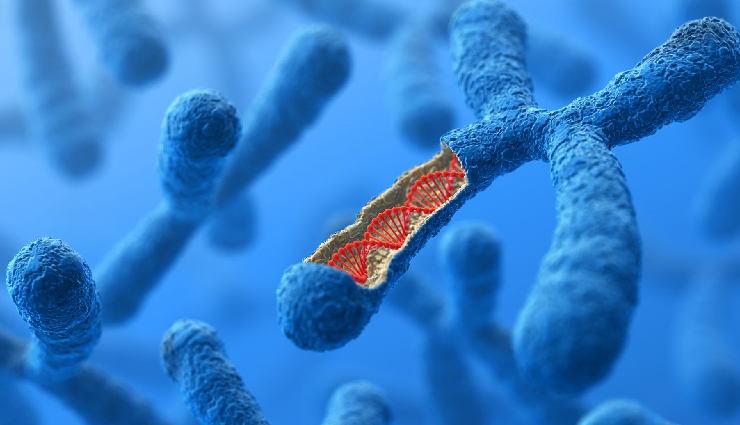 premature wrinkles,causes of wrinkles,early aging skin,fine lines,skin aging factors,lifestyle and wrinkles,anti-aging tips,wrinkle prevention,natural ways to reduce wrinkles,early signs of aging,skincare habits,environmental damage to skin,youthful skin tips,prevent fine lines