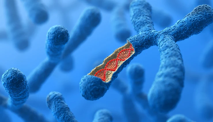 premature grey hair,early greying causes,grey hair in 20s,reasons for grey hair,prevent premature greying,early grey hair treatment,melanin loss hair,grey hair solutions,young age grey hair,hair color loss causes