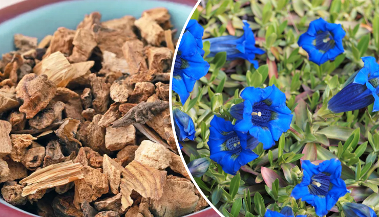 natural herbs for weight gain,herbs to gain healthy weight,herbal remedies for weight gain,natural herbs to increase body weight,herbs for healthy weight gain,herbal supplements for weight gain,herbal supplements to gain weight,weight gain herbs and supplements,herbal products for healthy weight gain,best herbs for natural weight gain,ayurvedic herbs for weight increase,ayurvedic herbs for weight gain,ayurvedic remedies to gain healthy weight,herbal solutions in ayurveda for weight increase,weight gain herbs in traditional medicine,herbs for muscle mass and weight gain,herbs to build muscle mass and gain weight,muscle gain herbs and supplements,herbal remedies for healthy muscle growth and weight gain,natural herbs to increase muscle mass and weight,weight gain herbs for underweight individuals,herbs for underweight individuals,natural remedies for healthy weight gain in thin individuals,herbs to increase body mass in underweight people,herbal solutions for gaining weight for skinny individuals