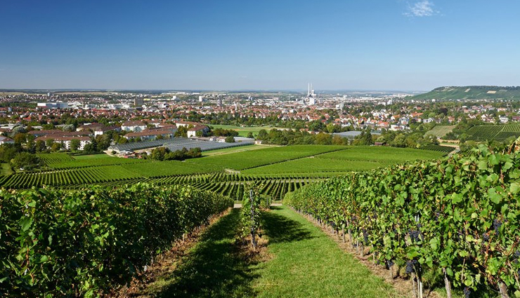 germany,places to visit in germany,rothenburg ob der tauber,black forest,neuschwanstein castle,saar loop,herrenhauser allee,vineyards near heilbronn
