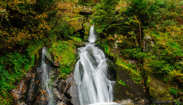 germanys black forest,places to visit in germanys black forest,germany