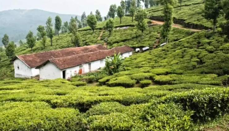 pondicherry,rameshwaram,ooty,yercaud,thekkady,weekend getaways,weekend getaways from chennai,chennai,travel tips